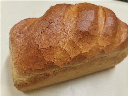 Búzacsírás kovászos kenyér